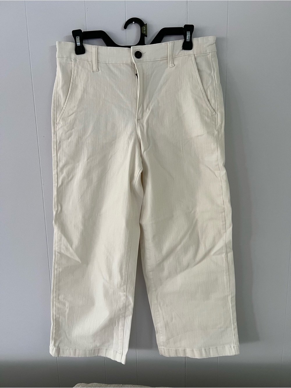 Ella Moss Cream Casual Pants - Classic Straight Fit #61